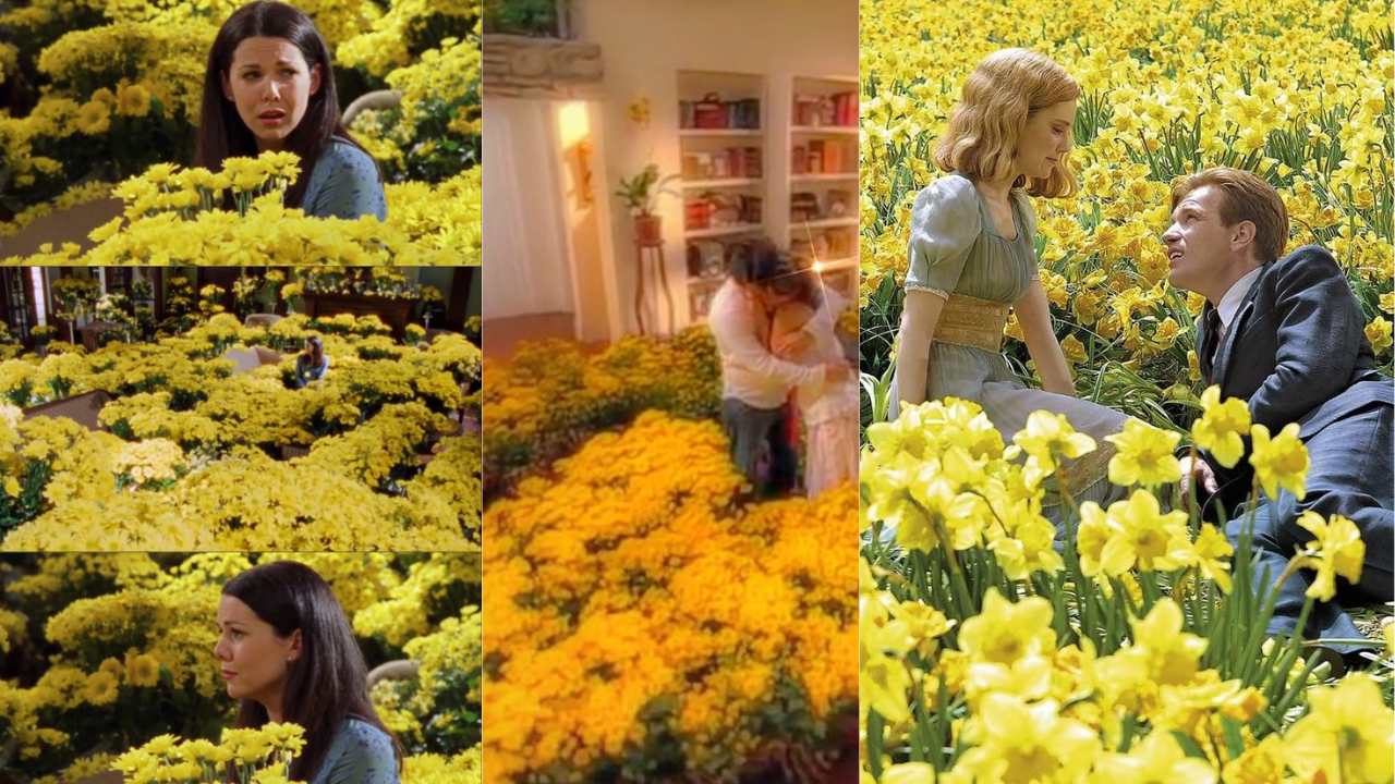 ¿Cuándo y por qué se dan las flores amarillas?, ideas para regalar Imagen de ¿Cuándo y por qué se dan las flores amarillas?, ideas para regalar