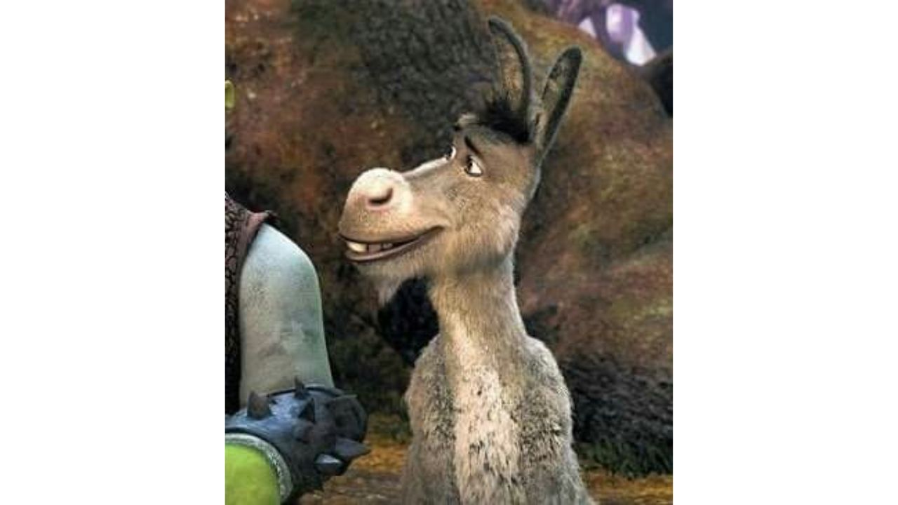 Burro es el amigo de Sherk, burro es de color gris.