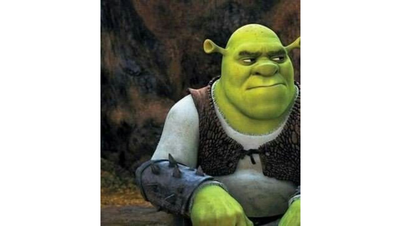 Sherk color verde y vestido de blanco y café.