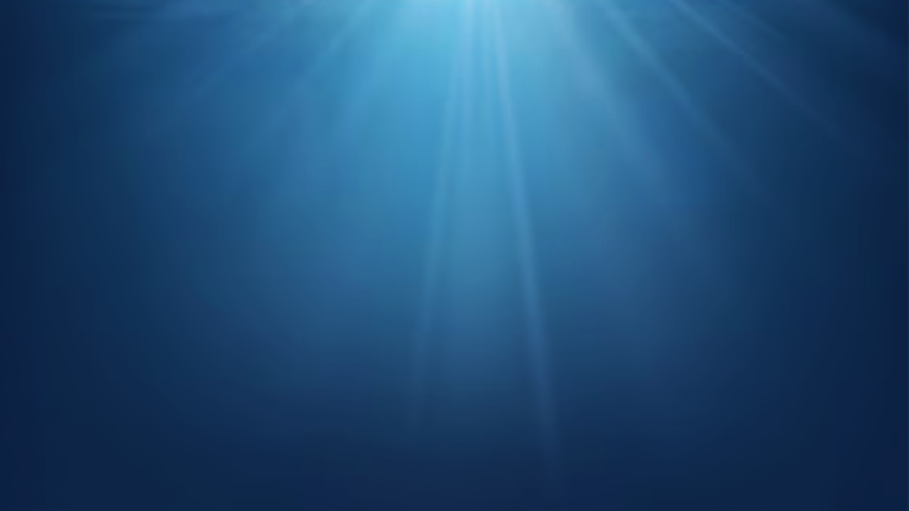 Se observa una parte del fondo del mar azul y encima una luz blanca deslumbrando.