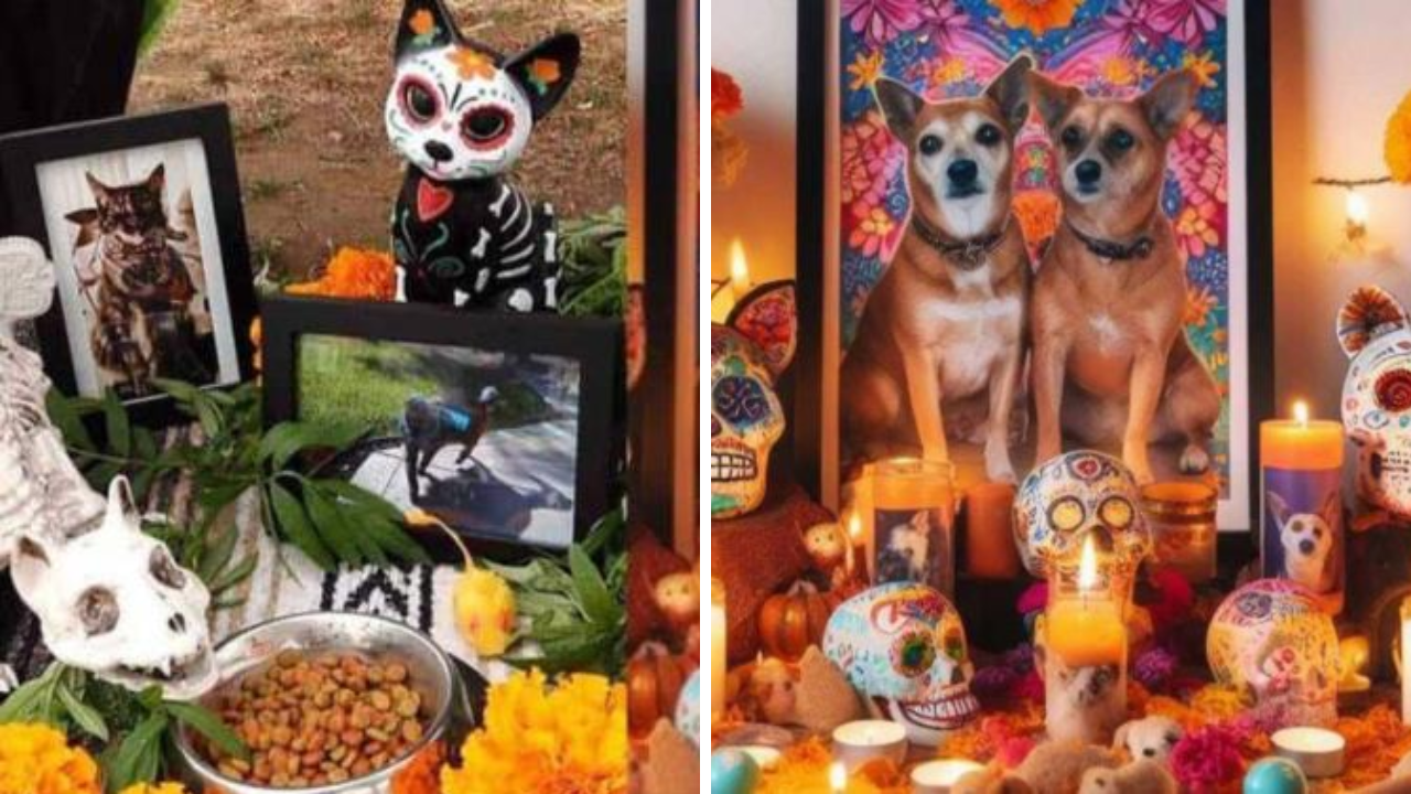 Imagen de 27 de octubre Día de Muertos para mascotas ¿a qué hora llegan y qué debes preparar para honrarlas?