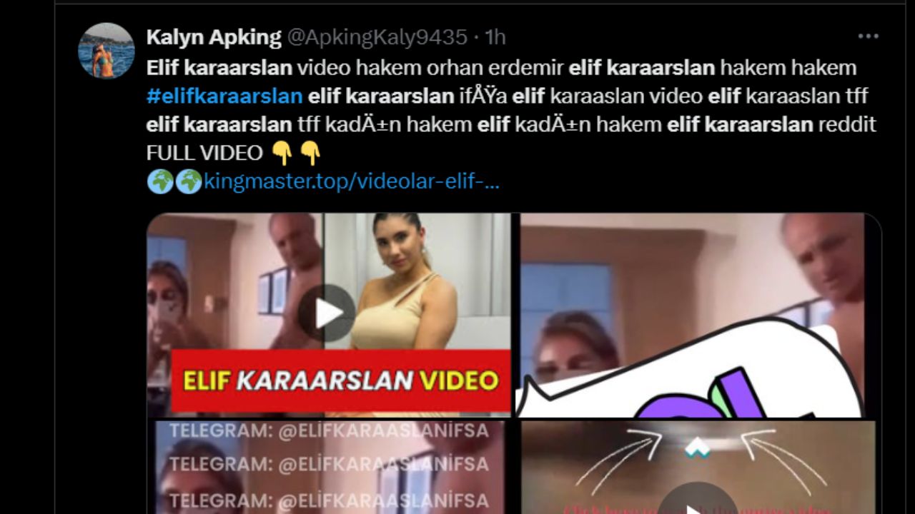 Publicación de Twitter del video de Elif Karaarslan