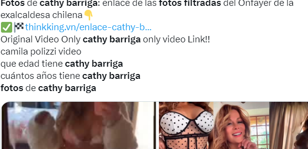 Captura de pantalla de los enlaces que ofrecen en Twitter sobre el contenido de Cathy Barriga