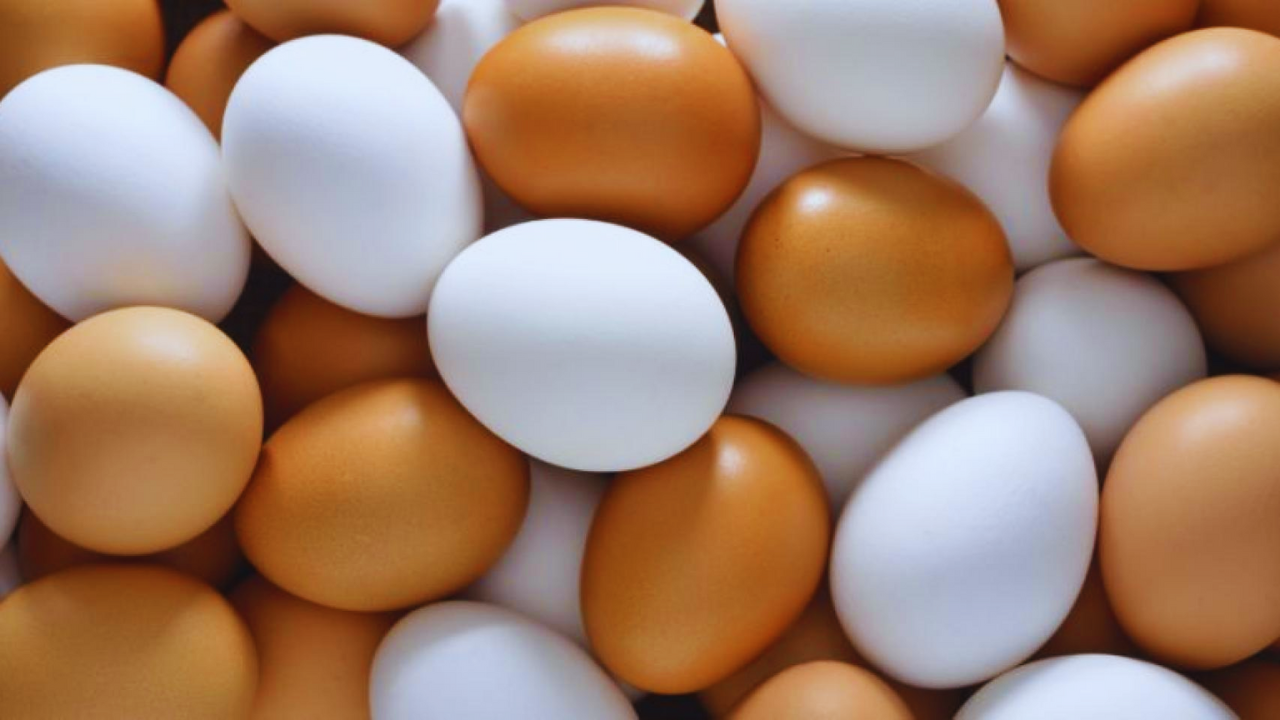 Muchos huevos color café y blanco. 