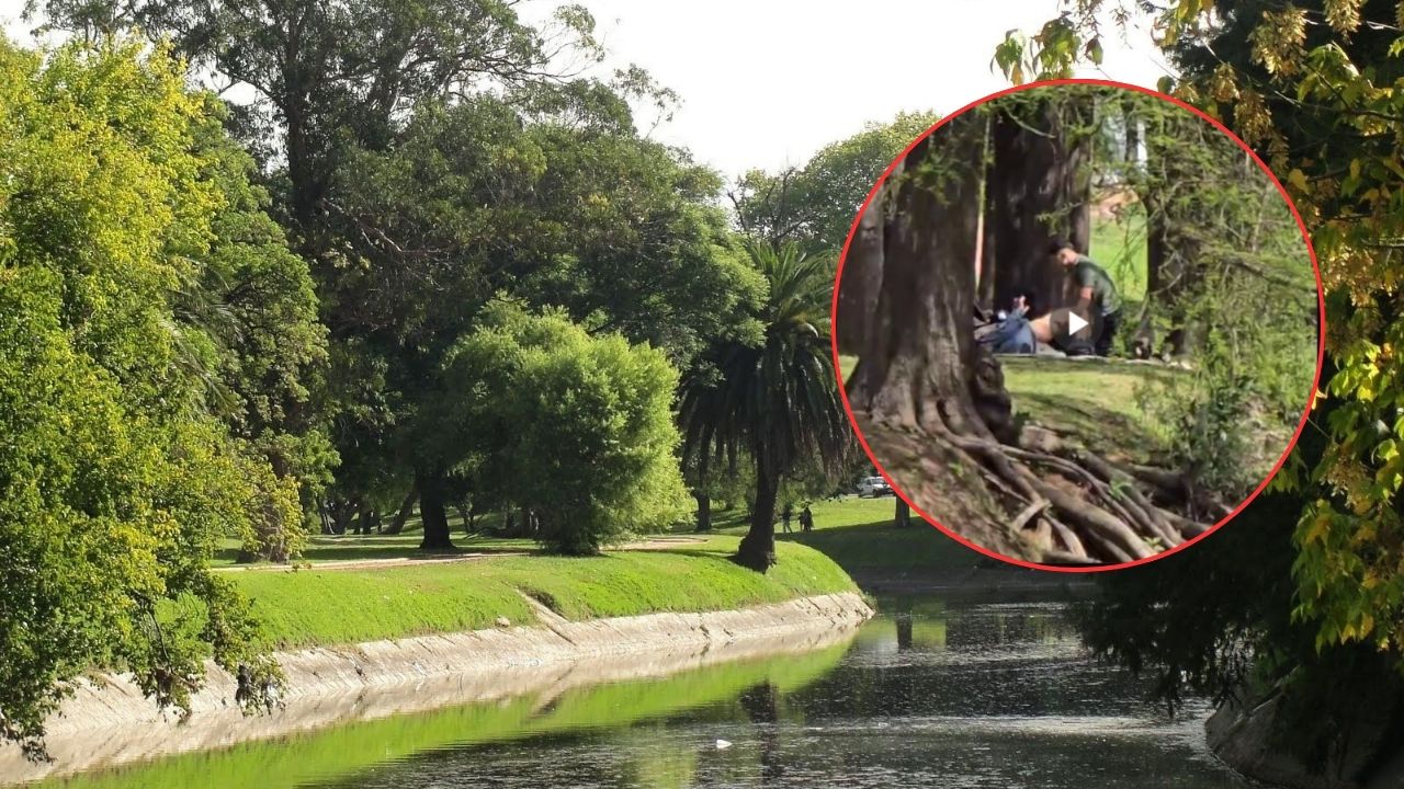 Video de El Prado en Twitter: pareja grabada en intimidad completo, original y sin censura Imagen de Video de El Prado en Twitter: pareja grabada en intimidad completo, original y sin censura