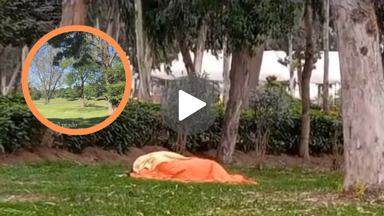 Imagen de ¿Dónde ver el video viral de pareja en El Prado en Twitter? Enlace al video original completo