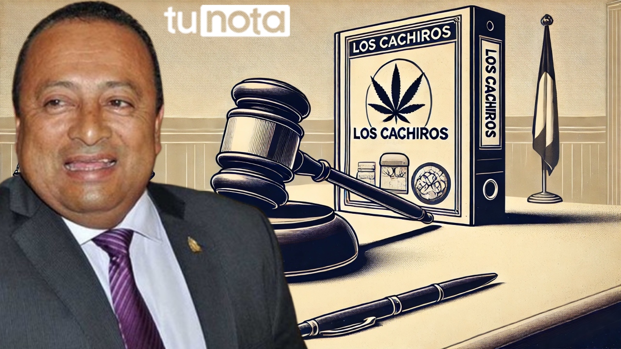 Imagen de Audiencia de diciembre decidirá si Midence Oquelí usó violencia en sus crímenes