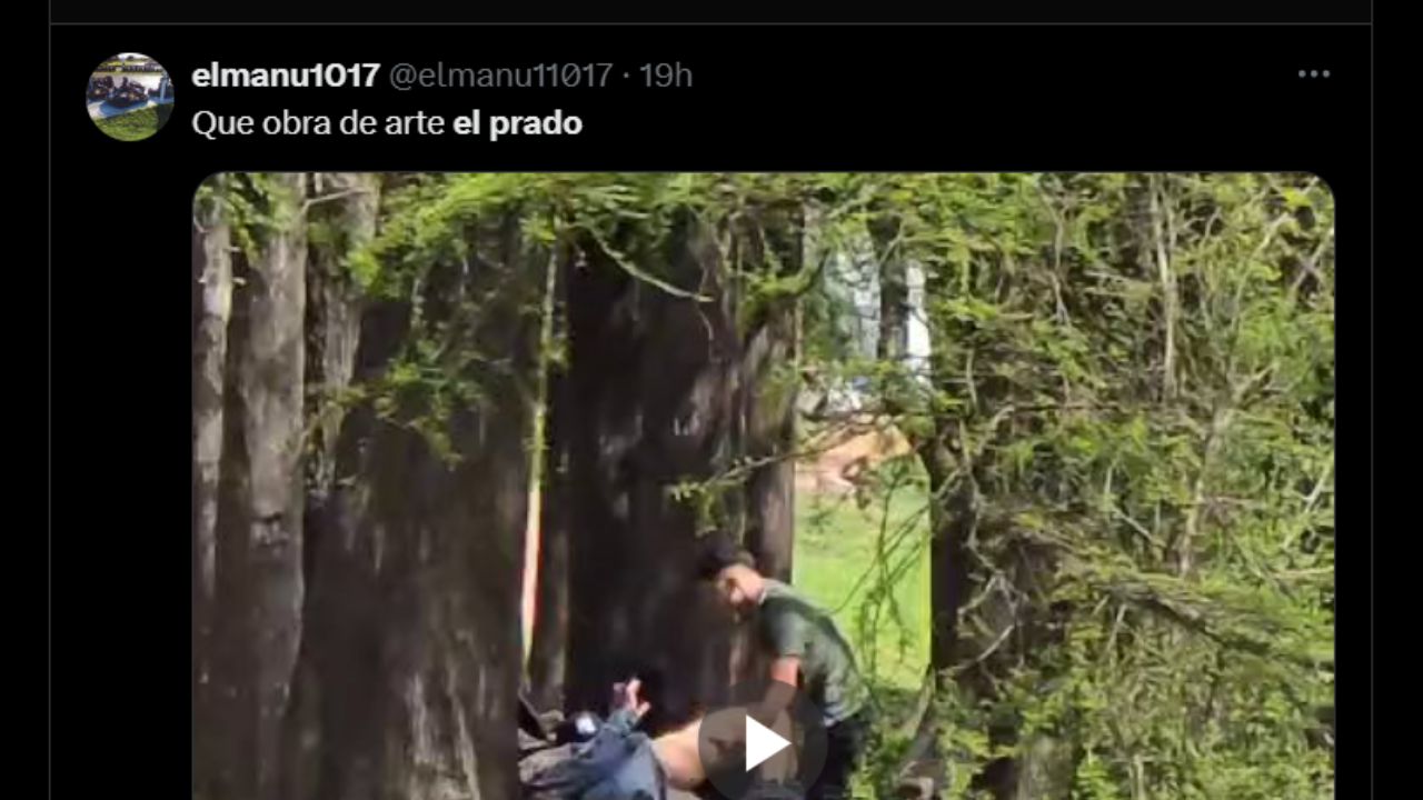 Video de El Prado en Twitter