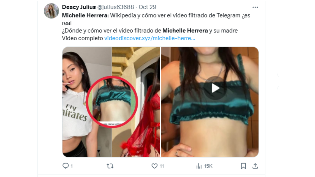 Captura de supuesto link del video  de Michelle 