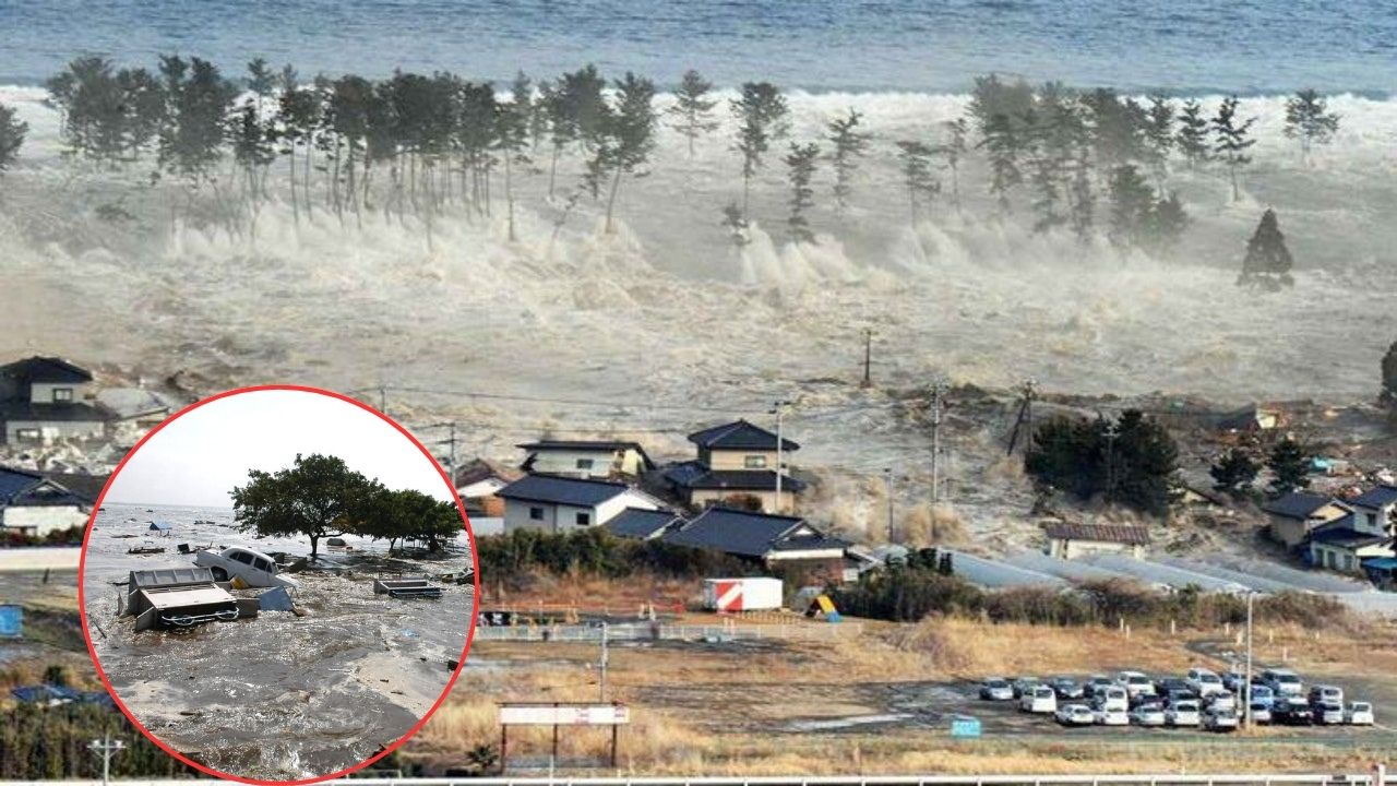 Tsunami de 2004 fotos