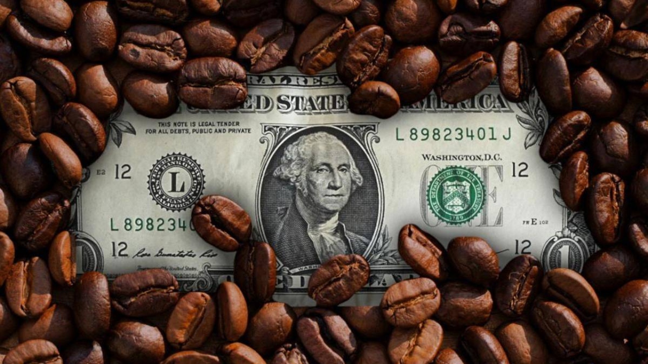 El precio del café alcanza histórico precio de $300 por quintal; sectores llaman a la prudencia Imagen de El precio del café alcanza histórico precio de $300 por quintal; sectores llaman a la prudencia