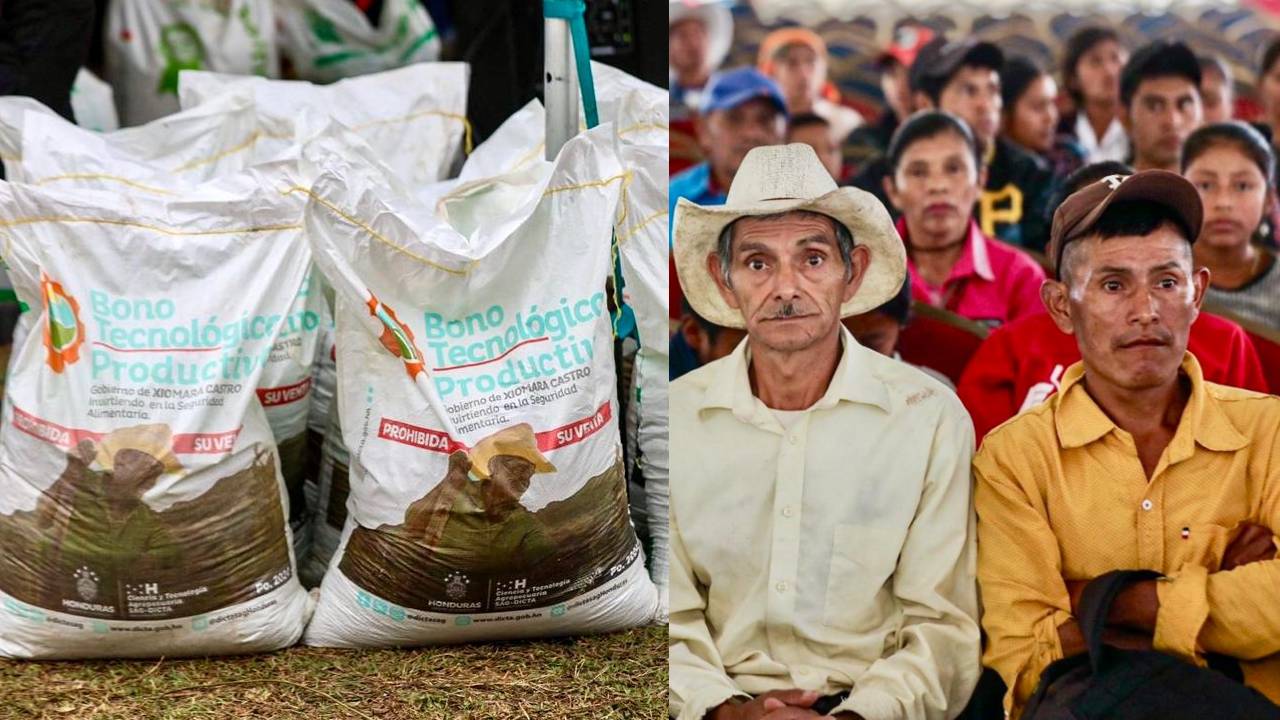 Productores en San Francisco de Opalaca, Intibucá, reciben Bono Tecnológico Imagen de Productores en San Francisco de Opalaca, Intibucá, reciben Bono Tecnológico