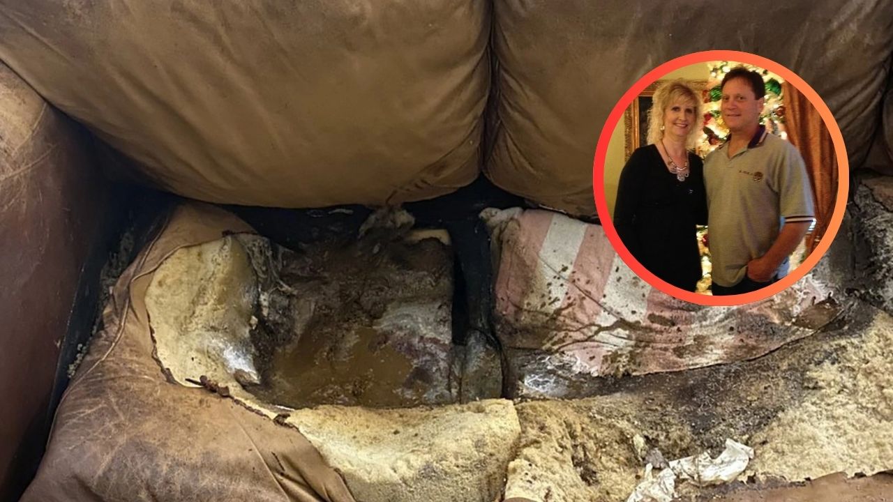 Leisy sofá fotos Foto: cortesía 