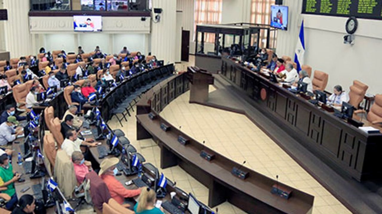 ONG: reformas en Nicaragua crean 'democracia directa' y derogan derechos humanos Imagen de ONG: reformas en Nicaragua crean 'democracia directa' y derogan derechos humanos