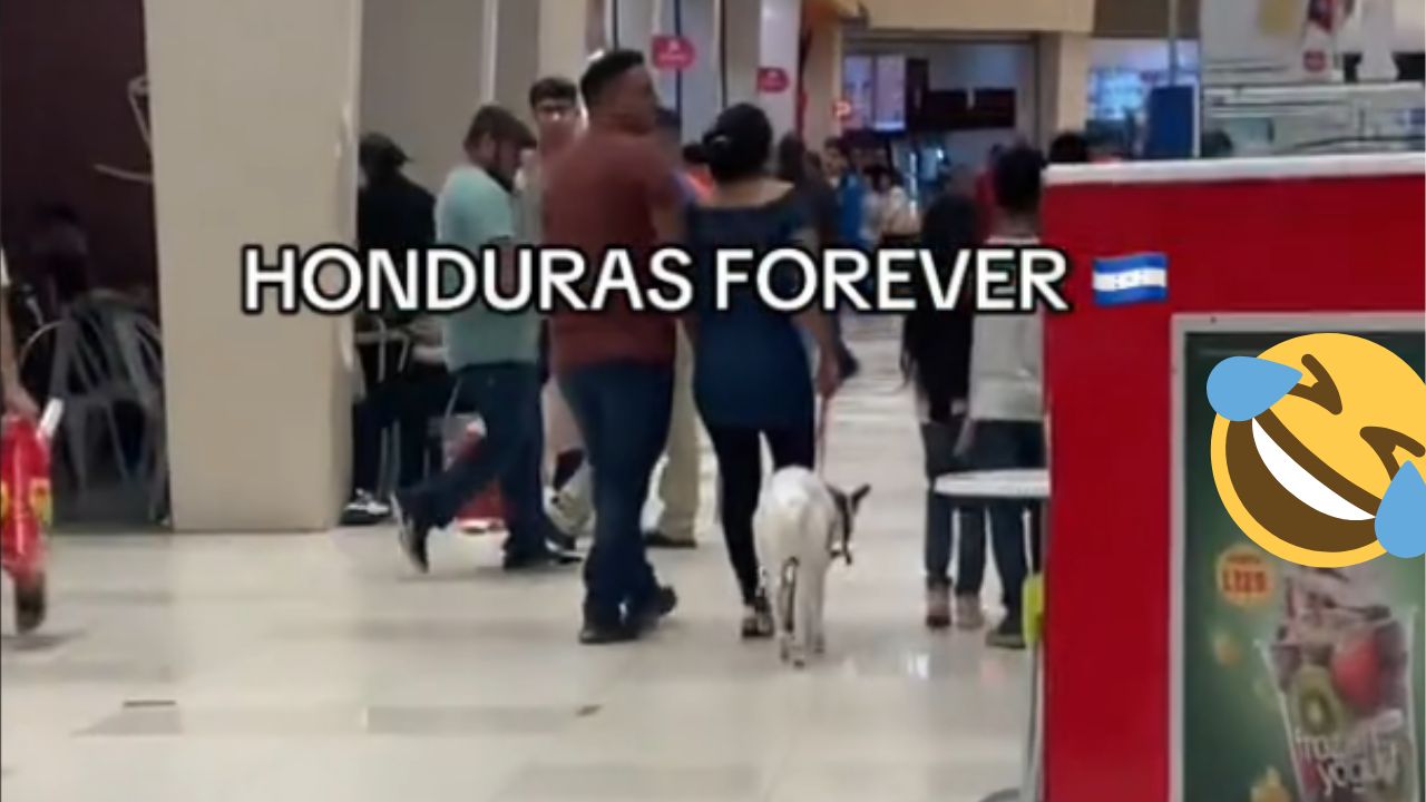 Imagen de VIDEO: Hondureños pasean su oveja en centro comercial