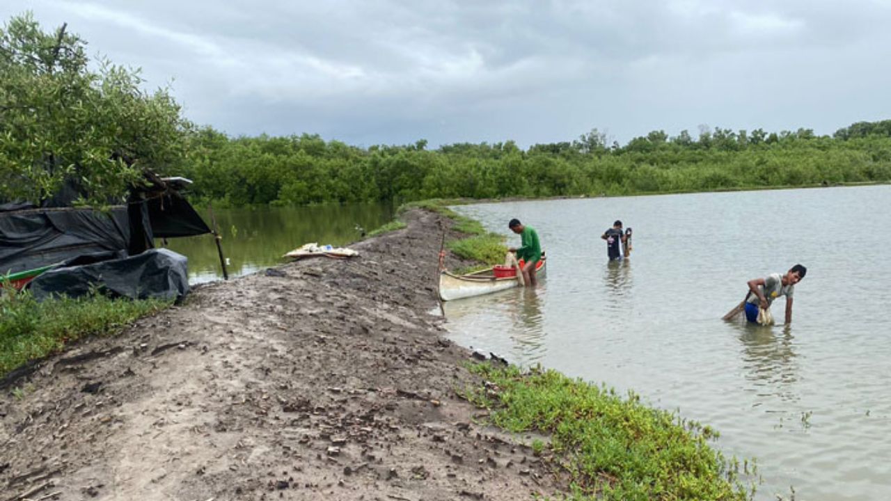 Imagen de Campesinos y pescadores del sur de Honduras afectados por tormenta Sara piden ayuda