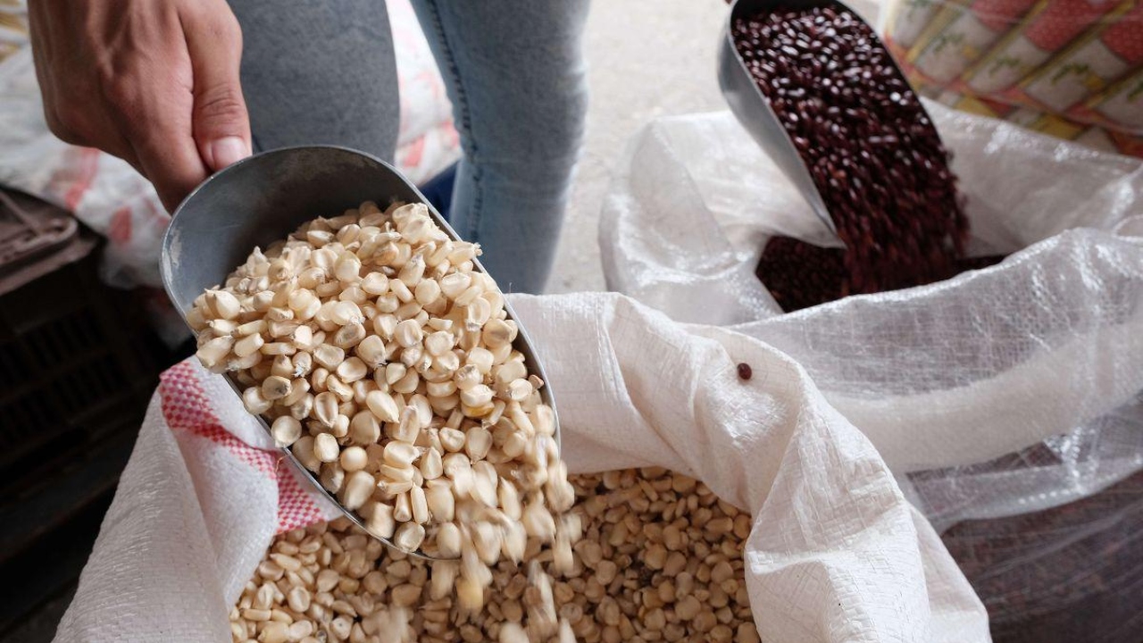 Imagen de Precios de granos básicos subirán de precio en enero por efectos de la tormenta Sara, anuncian productores