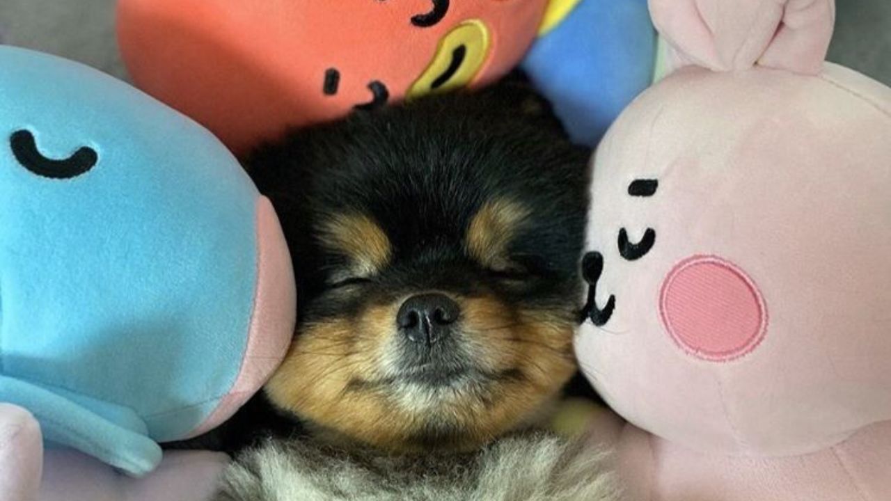Yeontan de que murió 