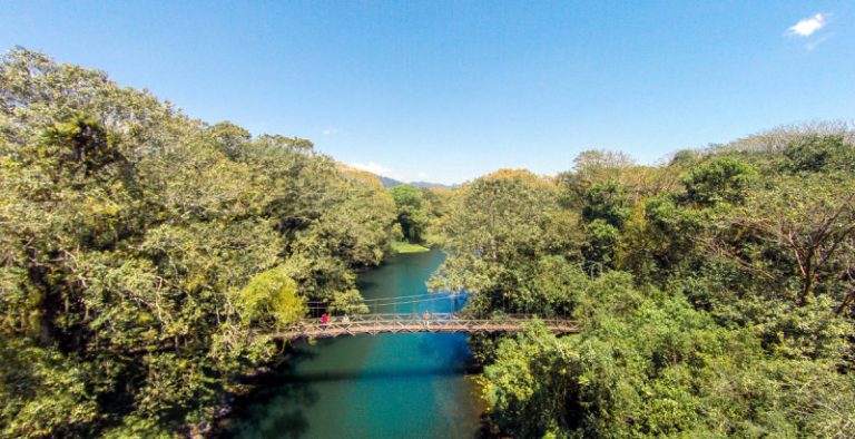 paisaje de lo alto los naranjos