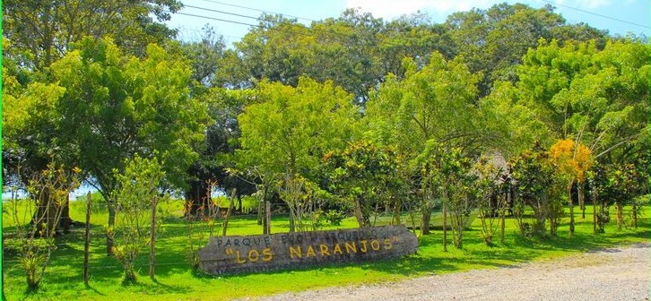 Los Naranjos area verde