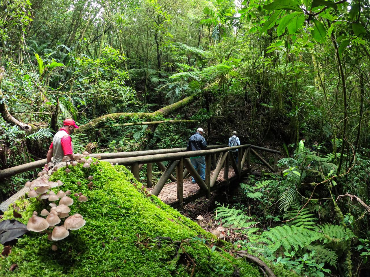 Parque Nacional La Tigra: precio, atracciones turísticas y actividades Imagen de Parque Nacional La Tigra: precio, atracciones turísticas y actividades