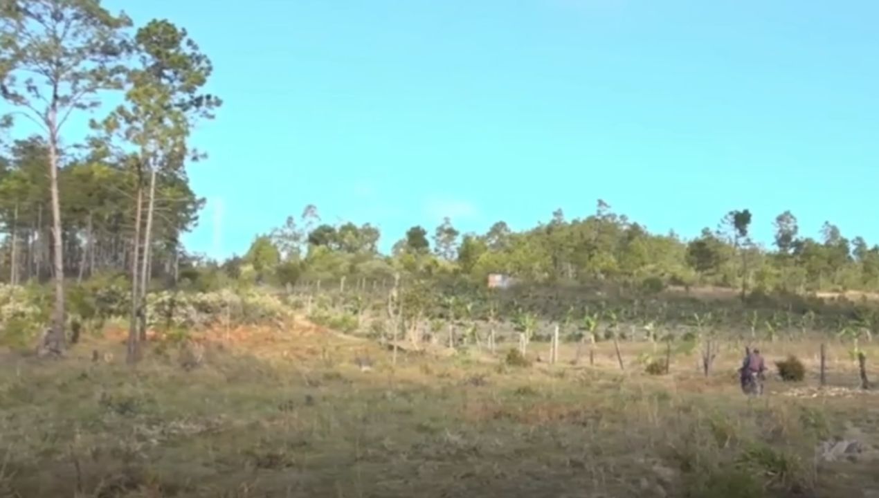 Matan a ambientalista hondureño y a su hijo en comunidad al norte de Tegucigalpa Imagen de Matan a ambientalista hondureño y a su hijo en comunidad al norte de Tegucigalpa