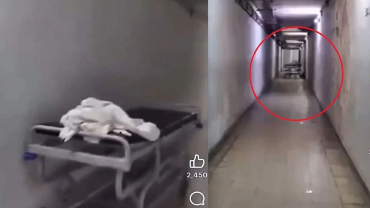 VIDEO: Camilla se desplaza varios metros durante la madrugada en un tenebroso hospital Imagen de VIDEO: Camilla se desplaza varios metros durante la madrugada en un tenebroso hospital