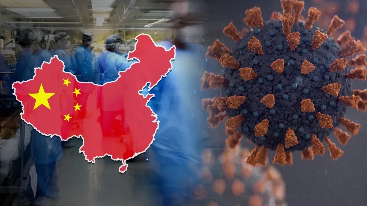 ¿Otra pandemia? Descubren en China un nuevo virus similar al Covid-19 que se transmite a los humanos Imagen de ¿Otra pandemia? Descubren en China un nuevo virus similar al Covid-19 que se transmite a los humanos