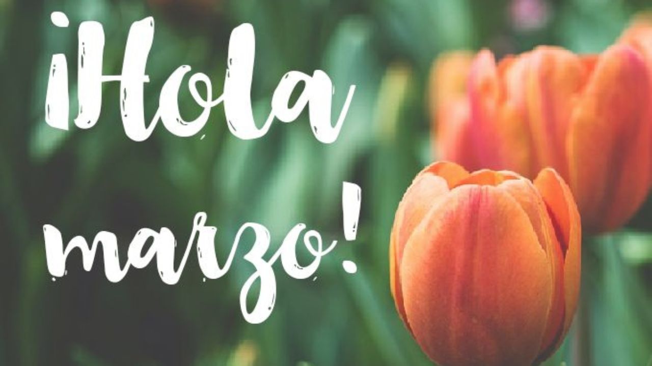 Imagen de Frases de inicio de mes marzo: Los mejores mensajes para comenzar el mes