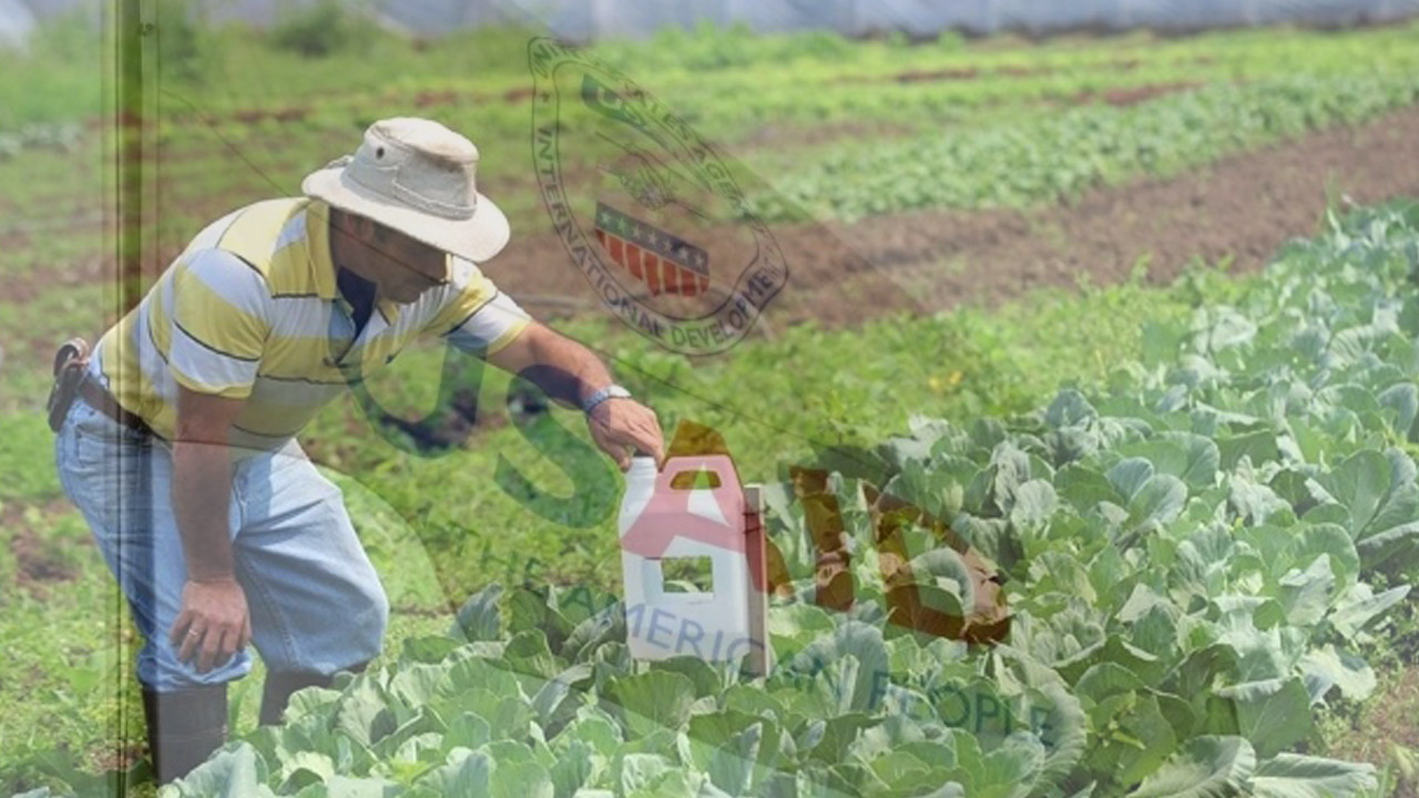 Ganaderos preocupados por cierre de USAID y su impacto en el sector ...