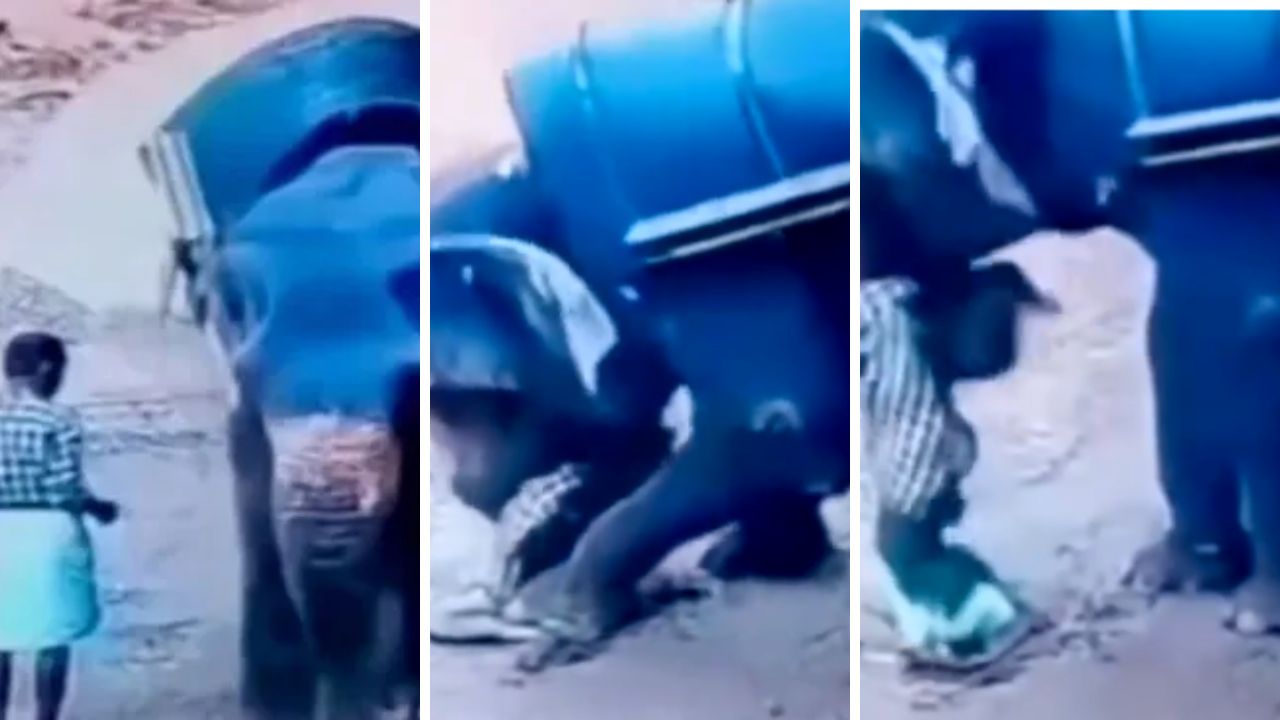 Fotos del video viral del elefante que aplasto a un hombre en la India