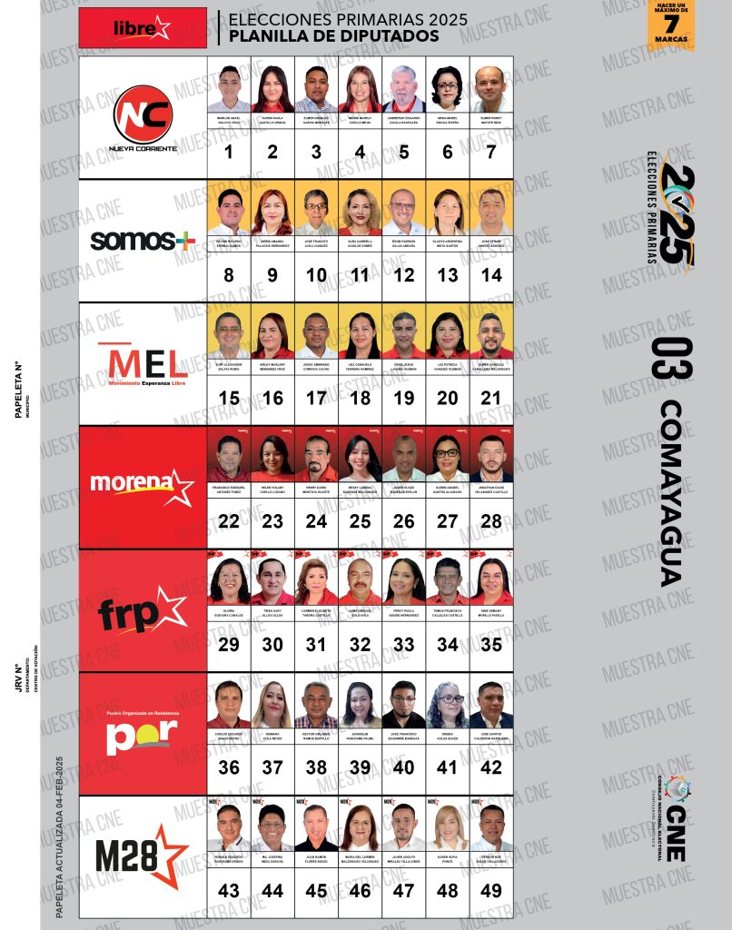 Papeleta de candidatos a diputados de Libre en Comayagua