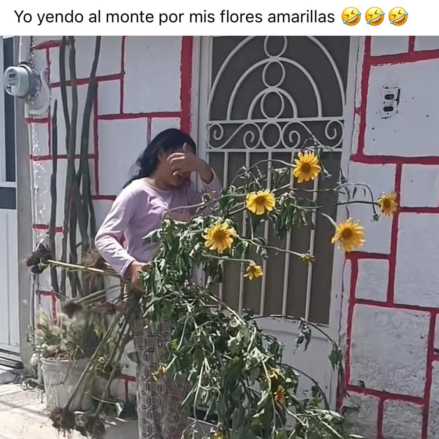 Una niña con flores arrancadas