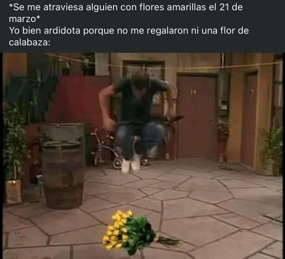Meme de envidia por flores amarillas