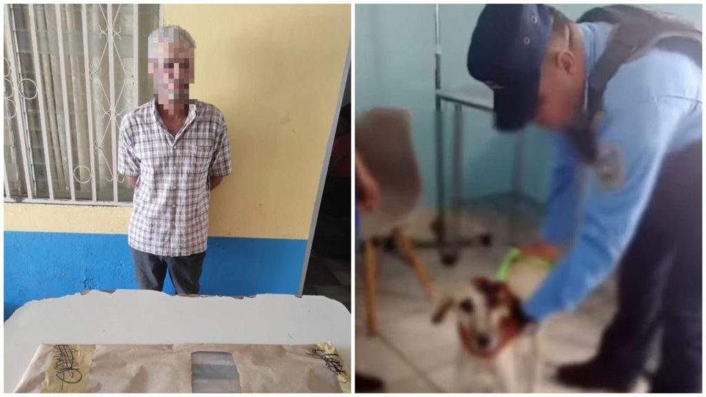 Hombre detenido por maltrato animal en Danlí