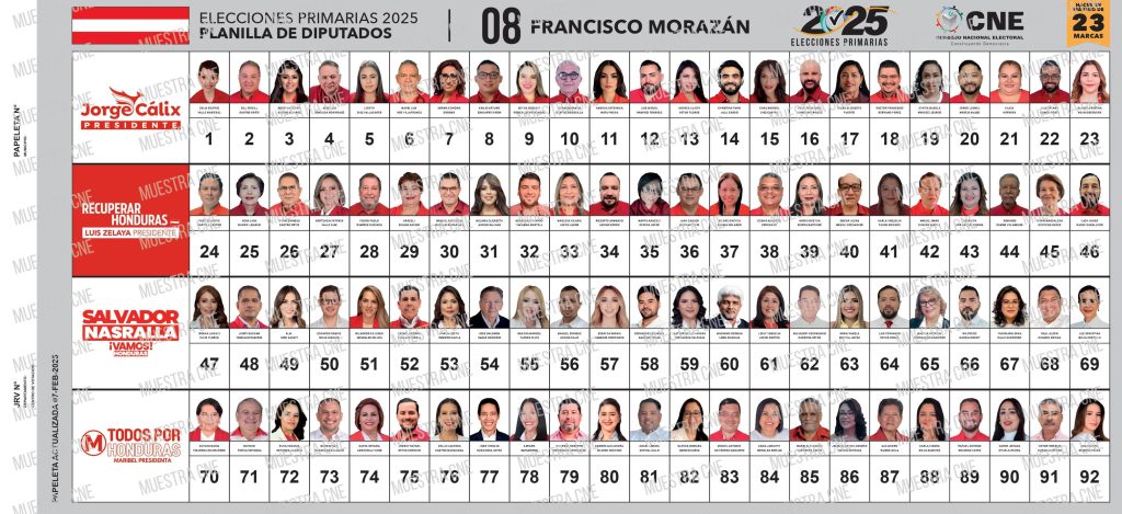 Papeleta de diputados