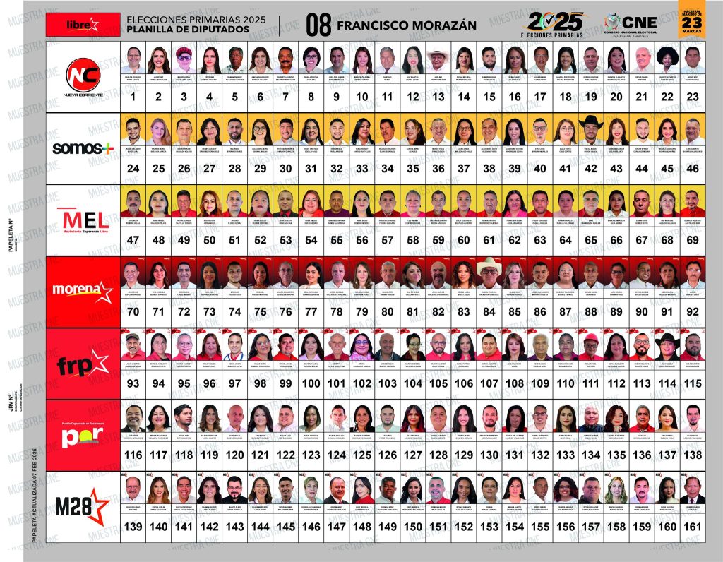 Papeleta diputados Partido Libre