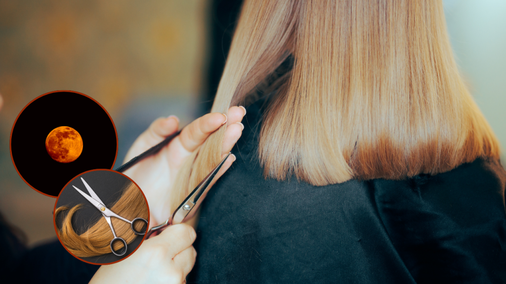 corte de pelo