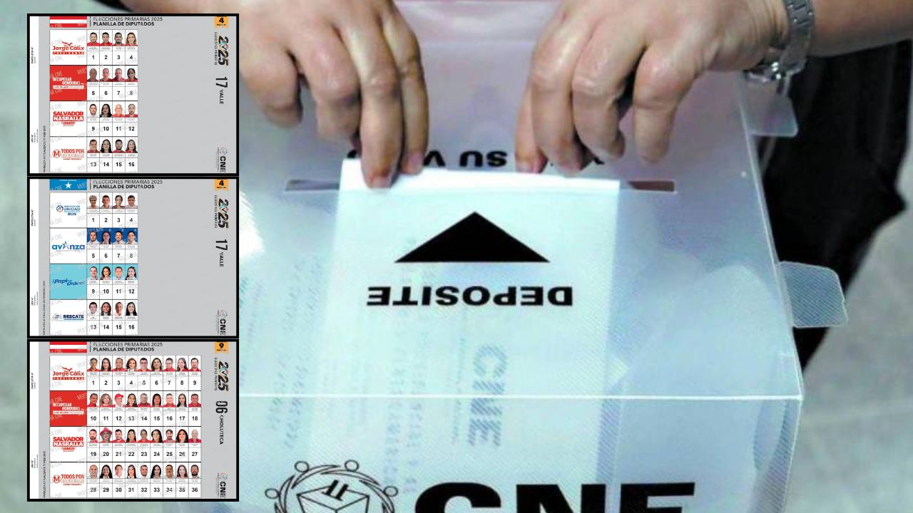 Imagen de Estos son los precandidatos a diputados por Choluteca y Valle