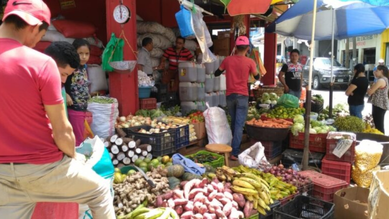 Honduras registró un crecimiento económico del 4,2 % en enero, según BCH Imagen de Honduras registró un crecimiento económico del 4,2 % en enero, según BCH