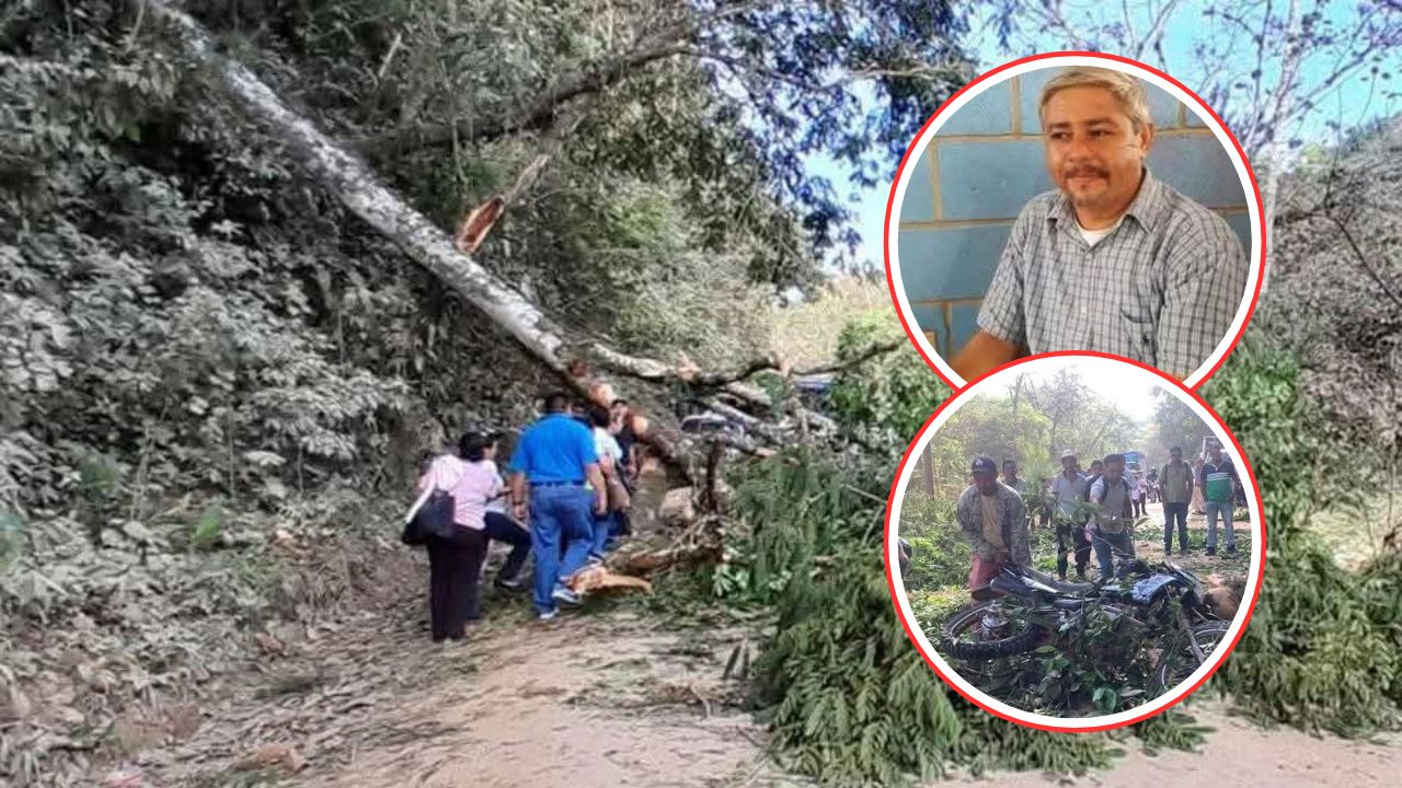 Lloran a maestro que murió aplastado por un árbol en Santa Bárbara Imagen de Lloran a maestro que murió aplastado por un árbol en Santa Bárbara