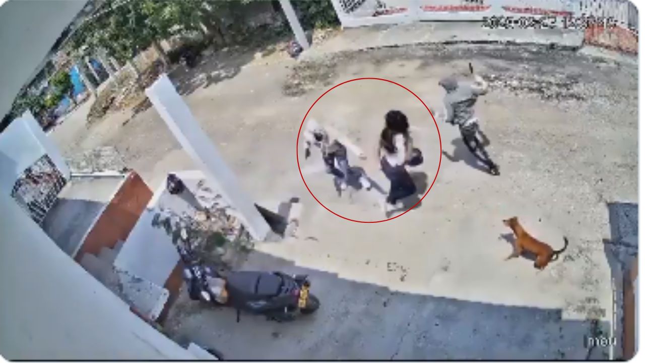 VIDEO: Mujer se enfrenta a golpes con ladrones que intentaban robarle su moto Imagen de VIDEO: Mujer se enfrenta a golpes con ladrones que intentaban robarle su moto