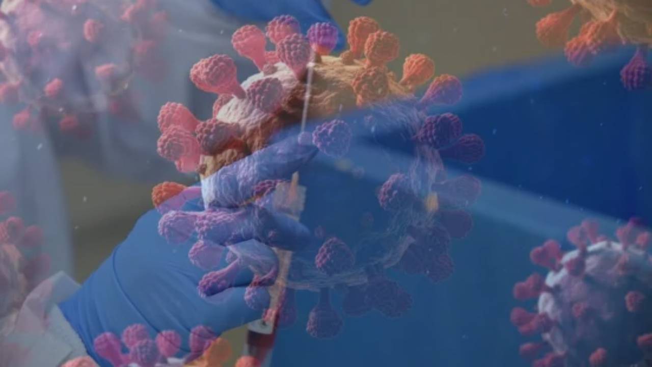 El Covid-19 sigue: OMS lamenta la 'amnesia colectiva' tras 5 años de pandemia Imagen de El Covid-19 sigue: OMS lamenta la 'amnesia colectiva' tras 5 años de pandemia