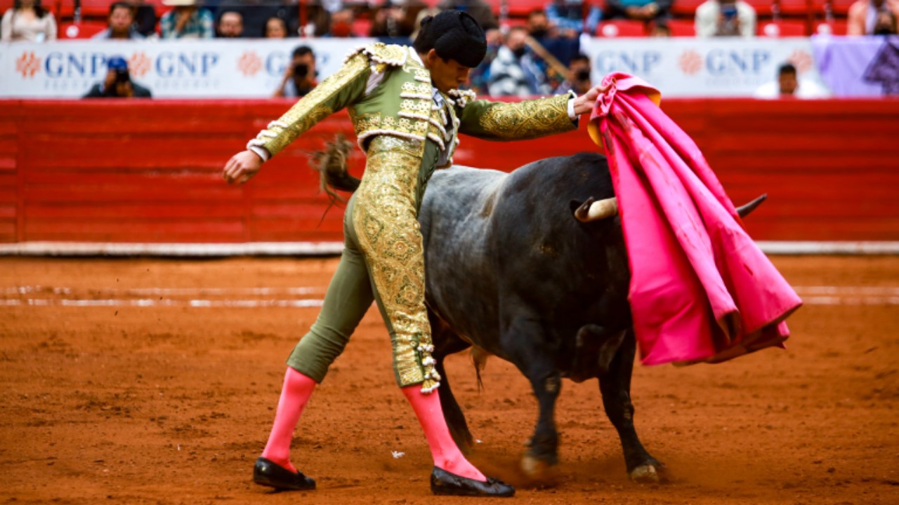 Ciudad de México plantea prohibir corridas con muerte o maltrato de toros Imagen de Ciudad de México plantea prohibir corridas con muerte o maltrato de toros