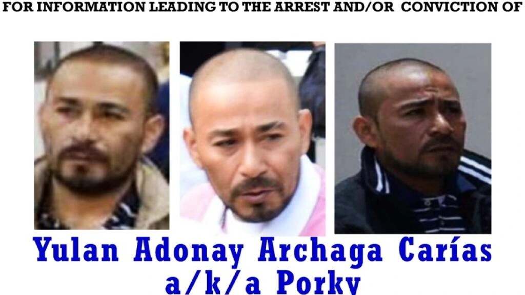 El Porky
