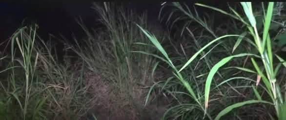 Lugar donde fue encontrado muerto el hondureño en el barrio La Bolsa