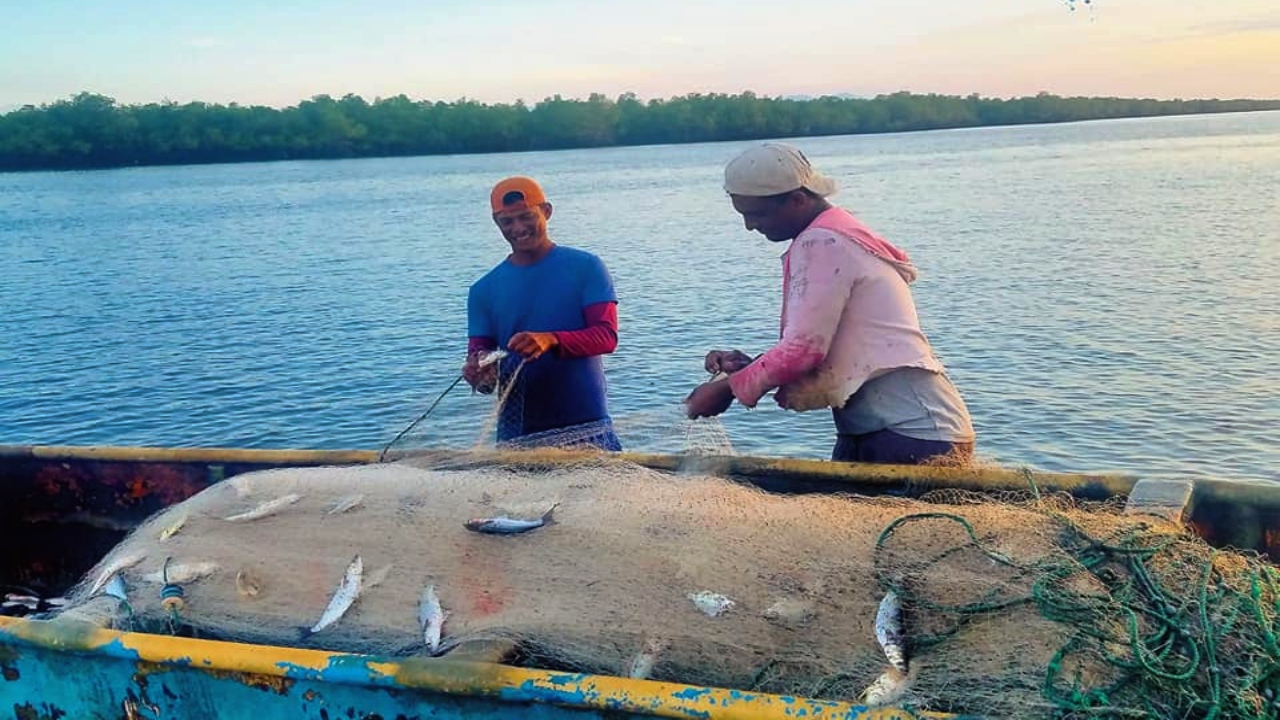Honduras refuerza el futuro de sus pescadores artesanales Imagen de Honduras refuerza el futuro de sus pescadores artesanales