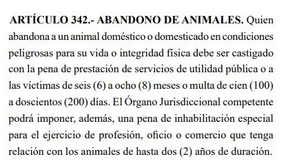 Captura del Código Penal de Honduras sobre el abandono de animales. Foto: cortesía