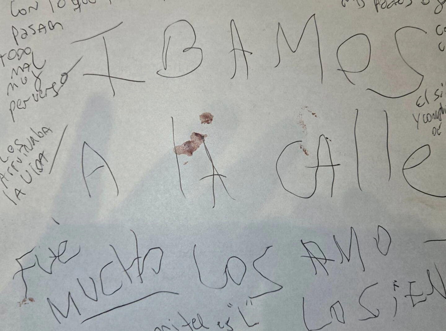 Carta de Laura, la mujer que mató a su esposo e hijos y luego se suicidó 