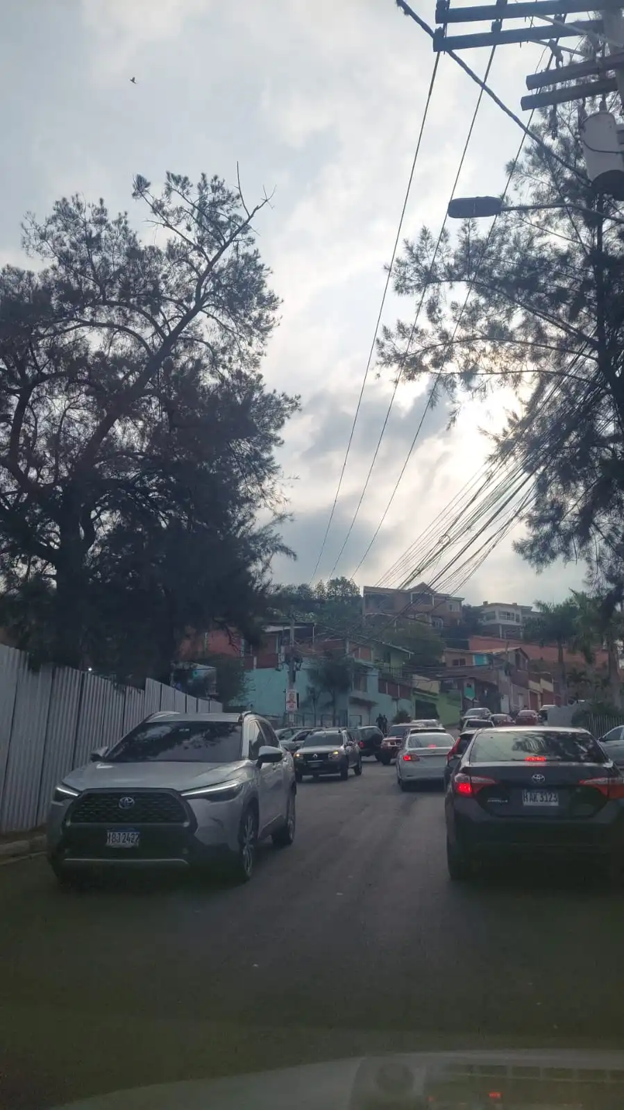 Tráfico